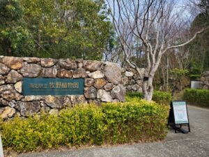 Spring Blooms & Serene Retreats: Discover Makino Botanical Garden & Wellness in Kochi City, Japan