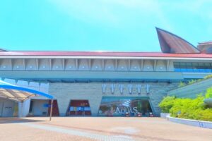 Shimane’s Coastal Gems: Family Fun at Aquas Aquarium & Best Summer Beaches in Hamada