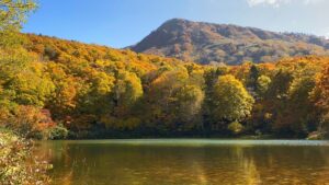 Yamagata Autumn Leaves Drive: A Self-Guided Journey Through Yamadera & Dewa Sanzan