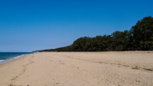 Summer Fun on Awaji Island: Top Beaches, Glamping & Coastal Activities in Hyogo Prefecture