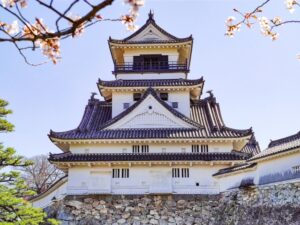 Cherry Blossom Magic: A Spring Awakening in Kochi, Shikoku