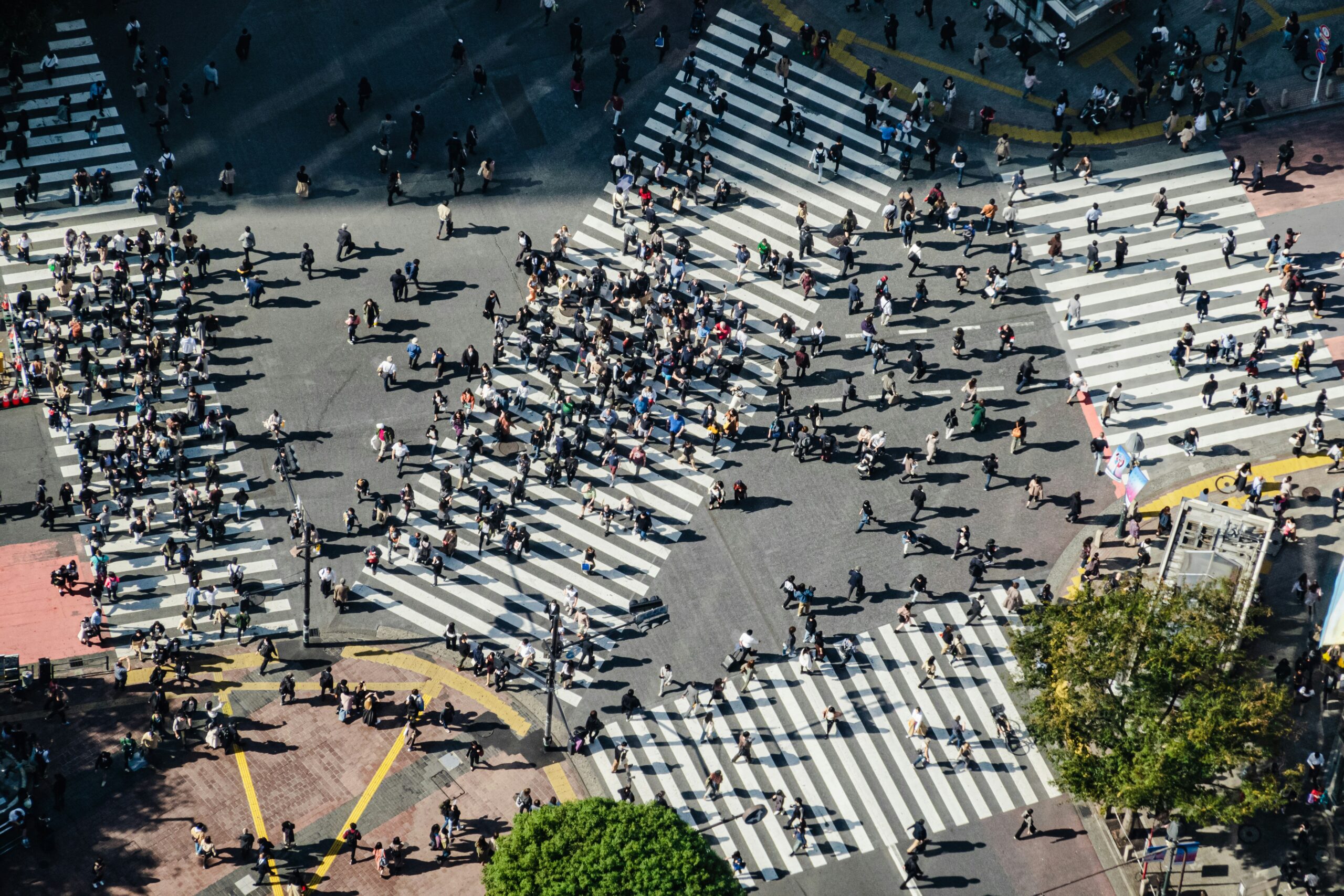 Shibuya Crossing