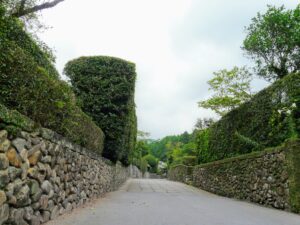 Spring Blooms & Samurai Spirit: A Chiran Day Trip from Kagoshima