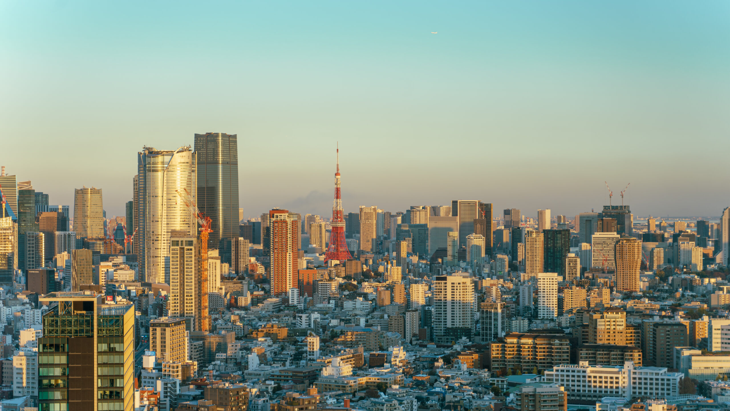 Tokyo skyline at sunset with Tokyo Tower