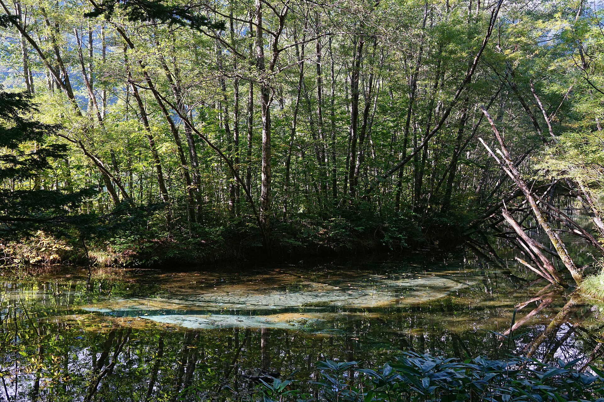 Taisho Pond in Kamikochi