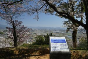 Cherry Blossom Magic: A Spring Awakening in Kochi, Shikoku