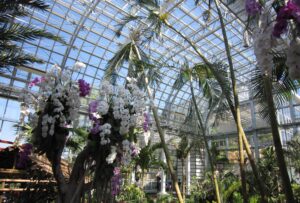 Spring Blooms & Serene Retreats: Discover Makino Botanical Garden & Wellness in Kochi City, Japan