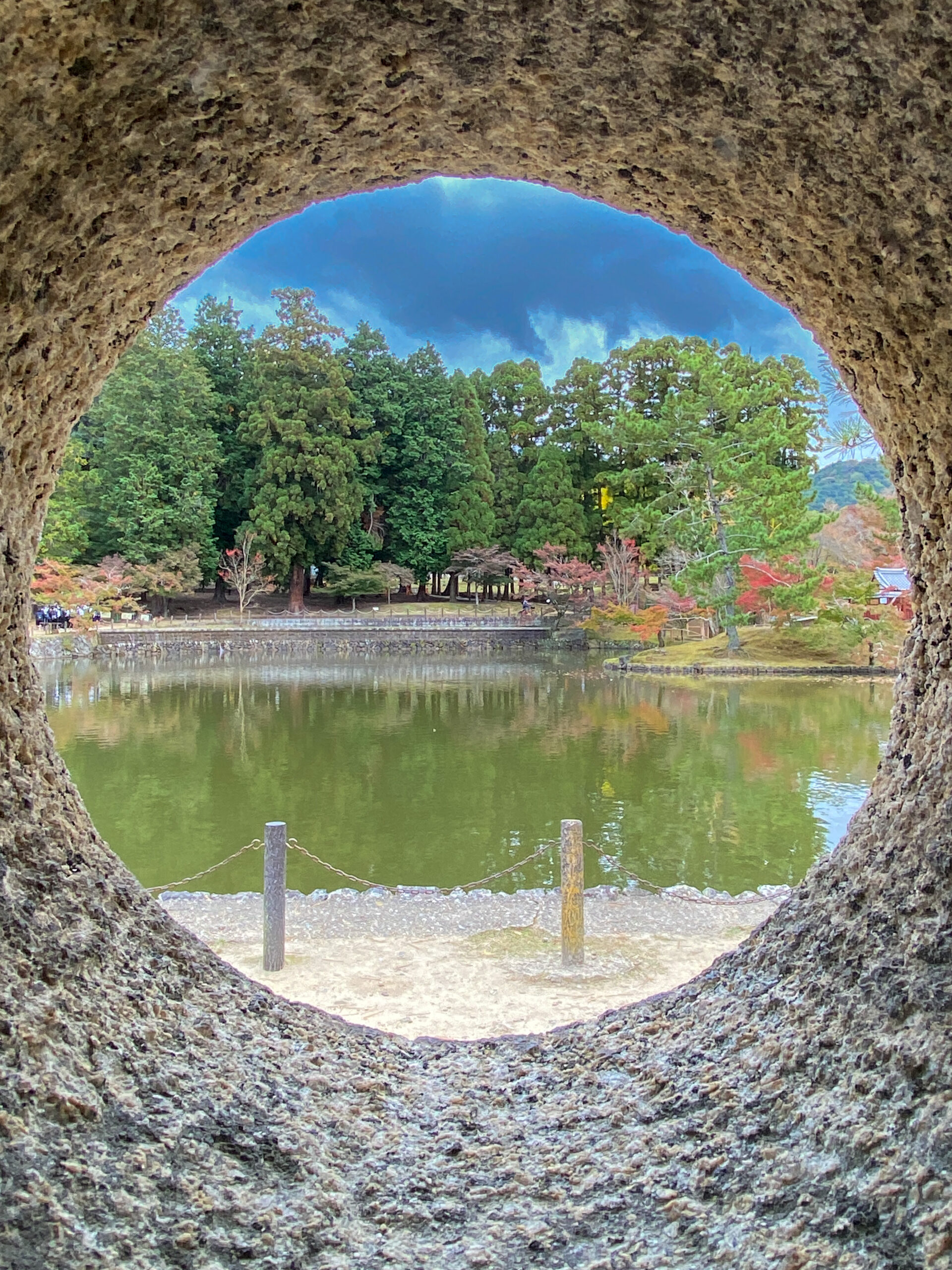 Nara Park with greenery and visitors