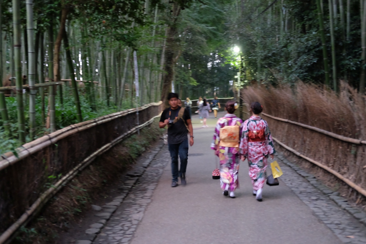 Bamboo grove in Arashiyama