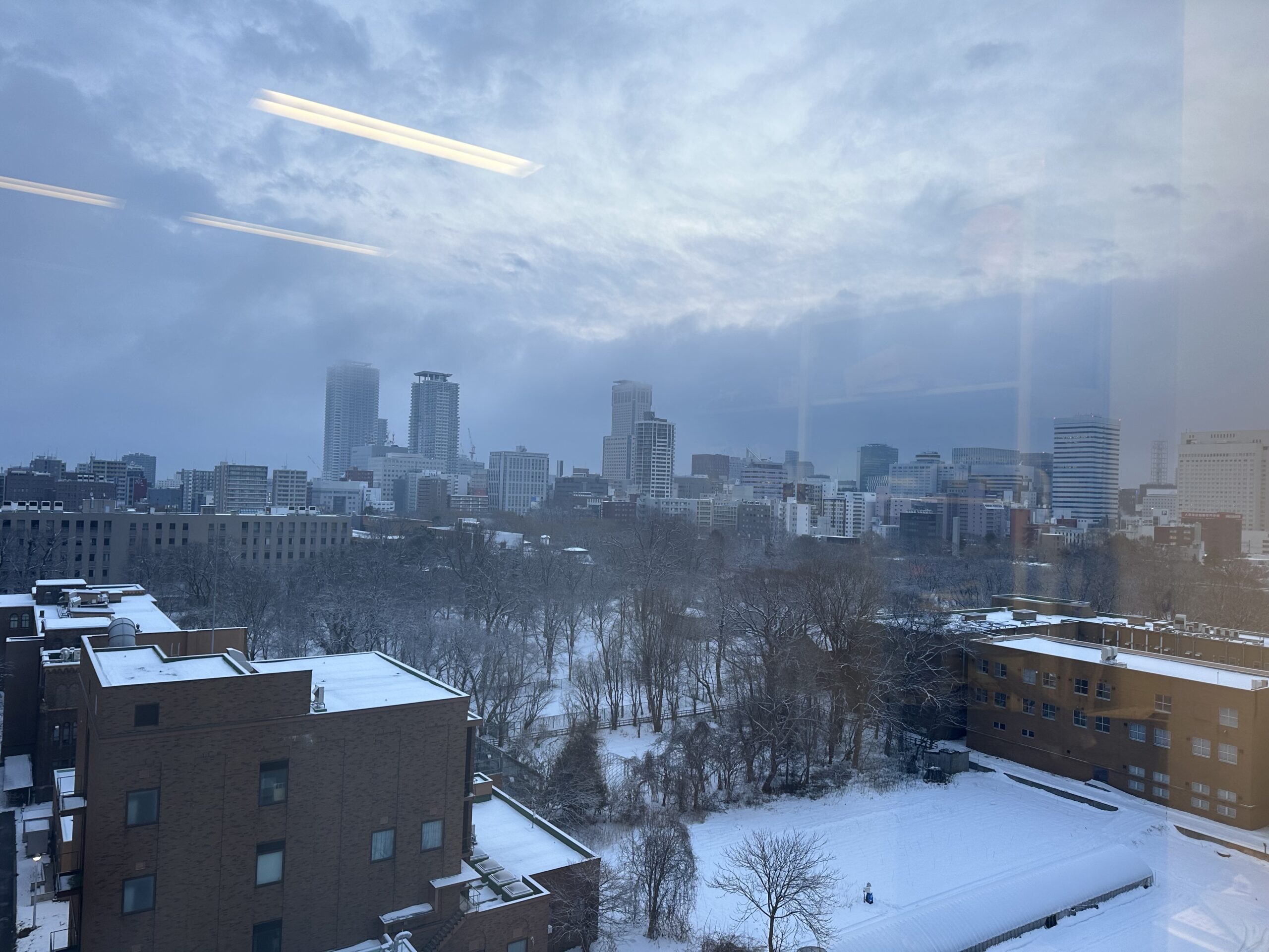 Sapporo city skyline