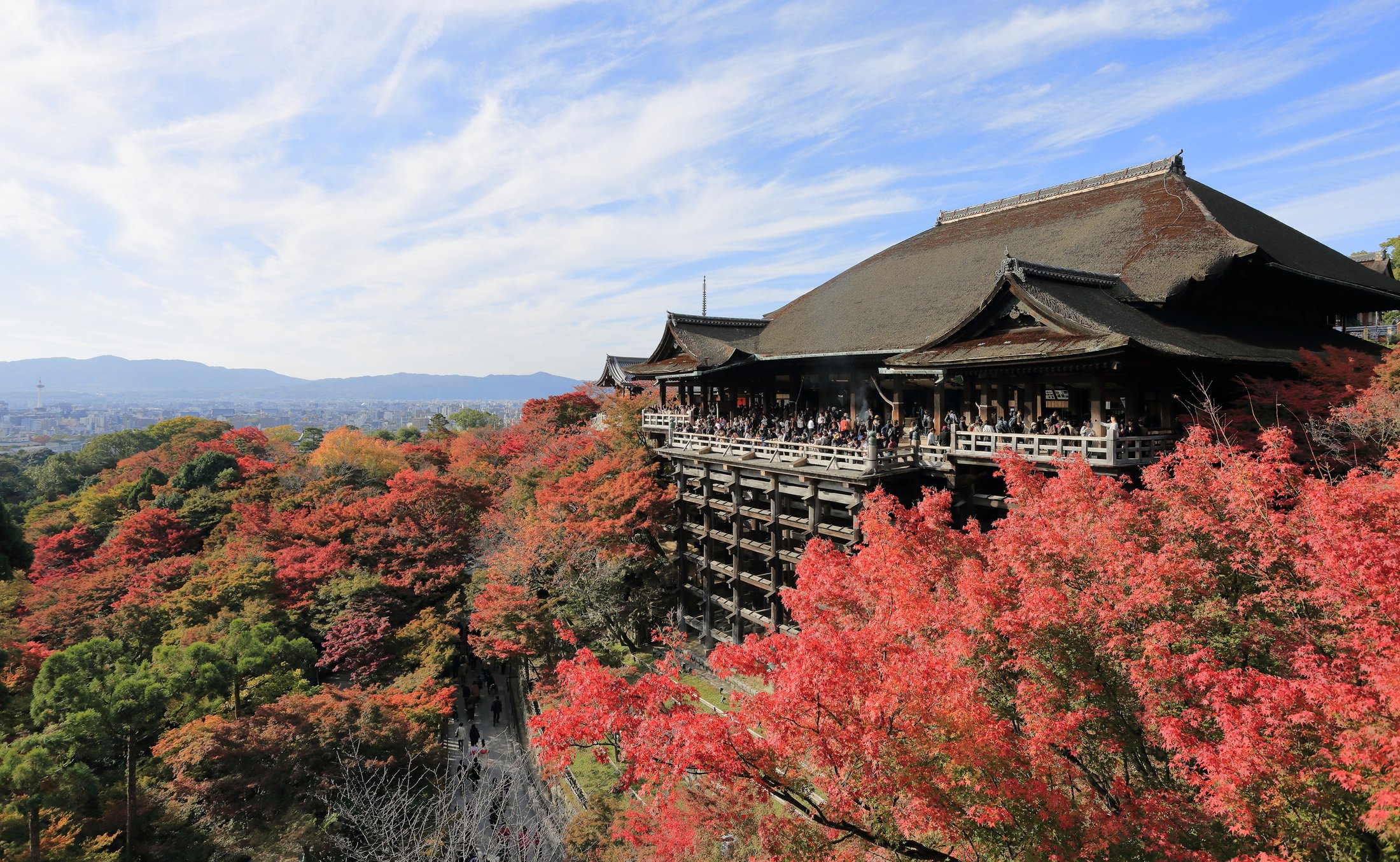 Autumn leaves around Kiyomizu-dera temple in Kyoto