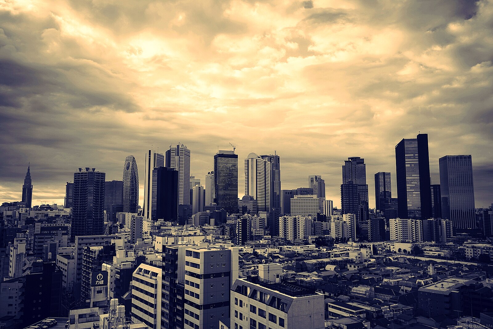 Shinjuku skyline in Tokyo