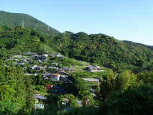 Wakayama Prefecture: Unveiling Japan’s Spiritual & Coastal Treasures Beyond the Beaten Path