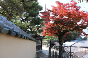 Miyajima in Autumn: Your Guide to Breathtaking Fall Foliage, Iconic Shrine Views & Unforgettable Ryokan Stays