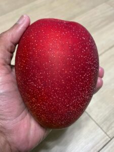 Sweet Summer: Miyazaki Mango Farm Tours & Tasting Experiences for a Delicious Trip.