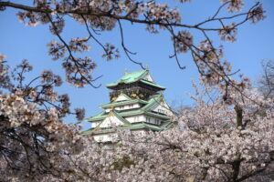 Osaka’s Cherry Blossom Spectacle: A 3-Day Itinerary for Osaka Castle & Kema Sakuranomiya Park