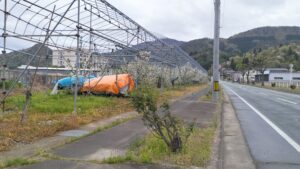 Blossom & Bite: A Spring Self-Drive Adventure in Yamagata, Japan