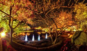 Nabana no Sato Illumination 2026–27: Tickets, Bus or Train?