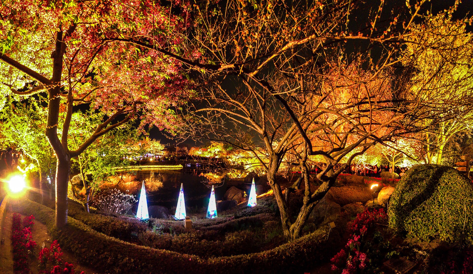 Wide night view of Nabana no Sato winter illumination