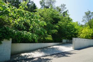 Naoshima Art Island: Which Port, Ferry and Museum Tickets Should You Plan First?