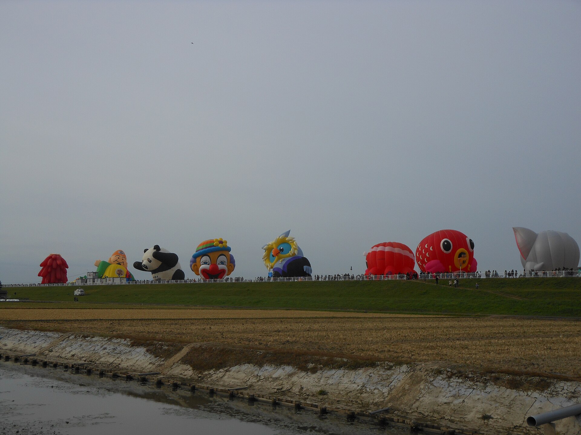 Special-shaped hot-air balloons at the Saga Balloon Fiesta