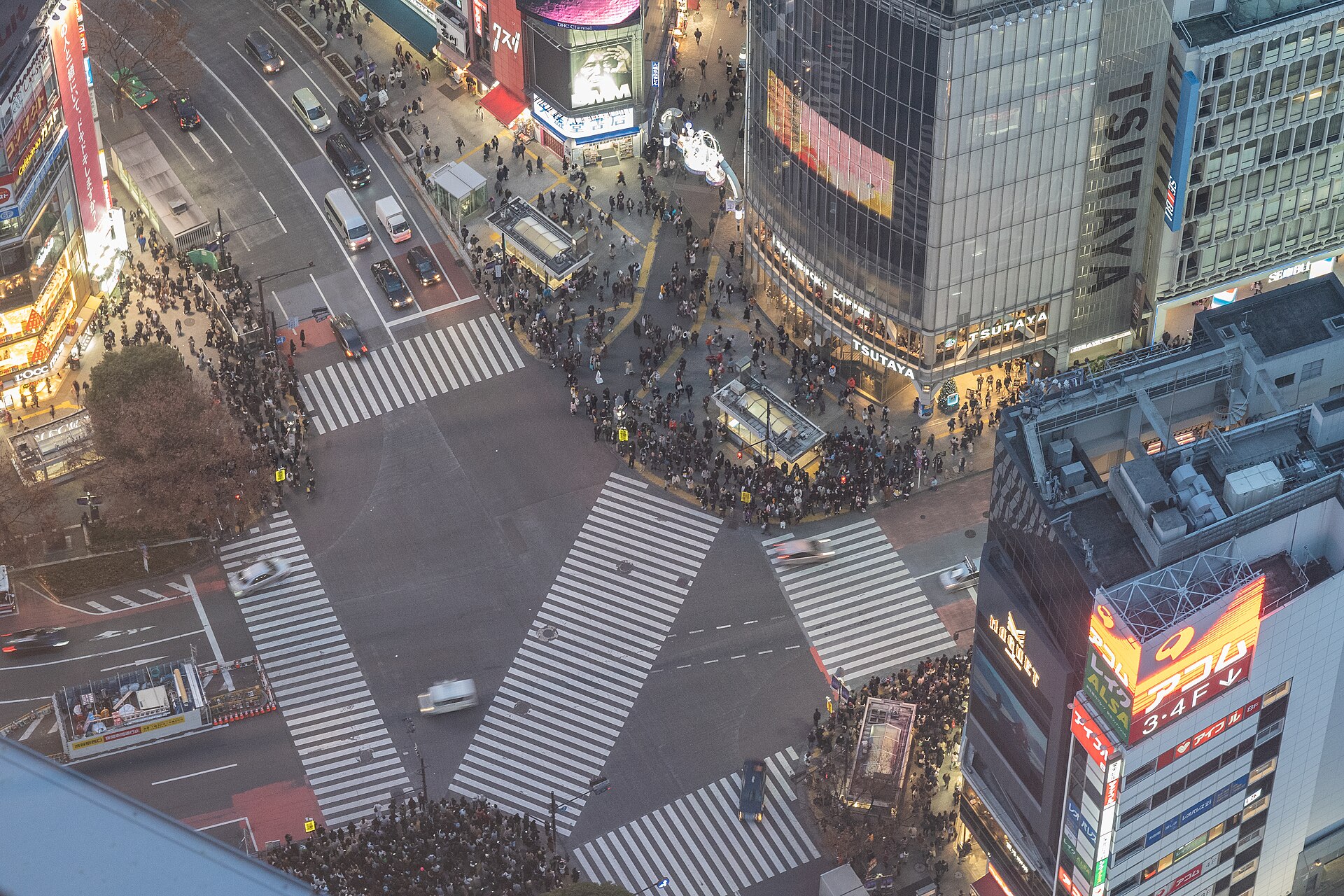 Shibuya Crossing viewed from SHIBUYA SKY