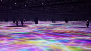 teamLab Planets vs Borderless: Which Tokyo Museum Should You Book?