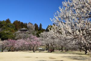 Kairakuen Garden: Tickets, Hours and the Best Way to Arrive from Mito
