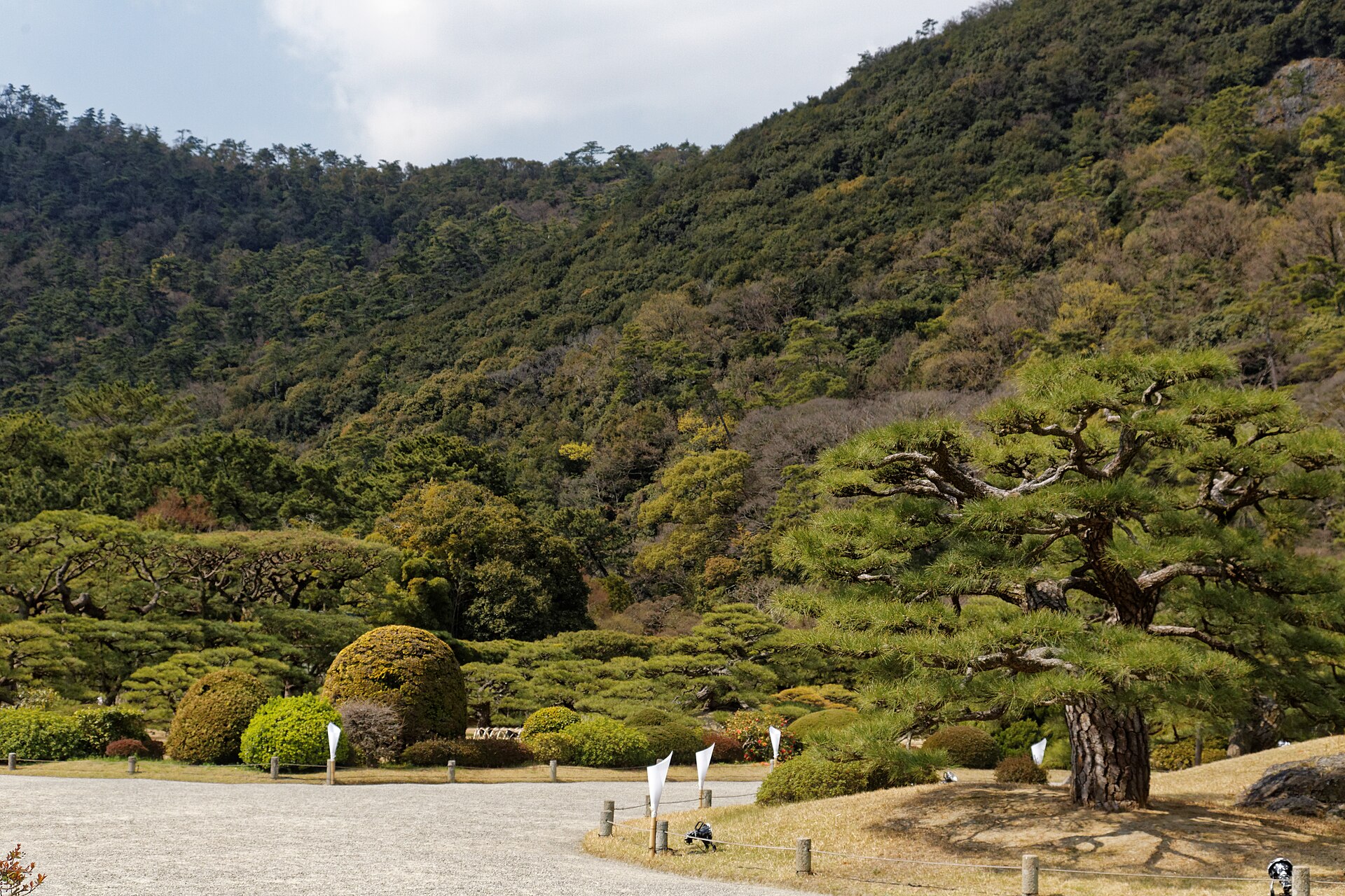 Manicured pines and hillside at Ritsurin Garden in Takamatsu
