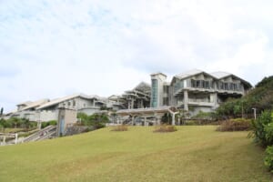 Naha Airport to Churaumi Aquarium: Bus or Rental Car?