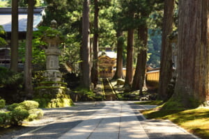 Eiheiji Temple: Admission, Hours, Zazen and Getting There