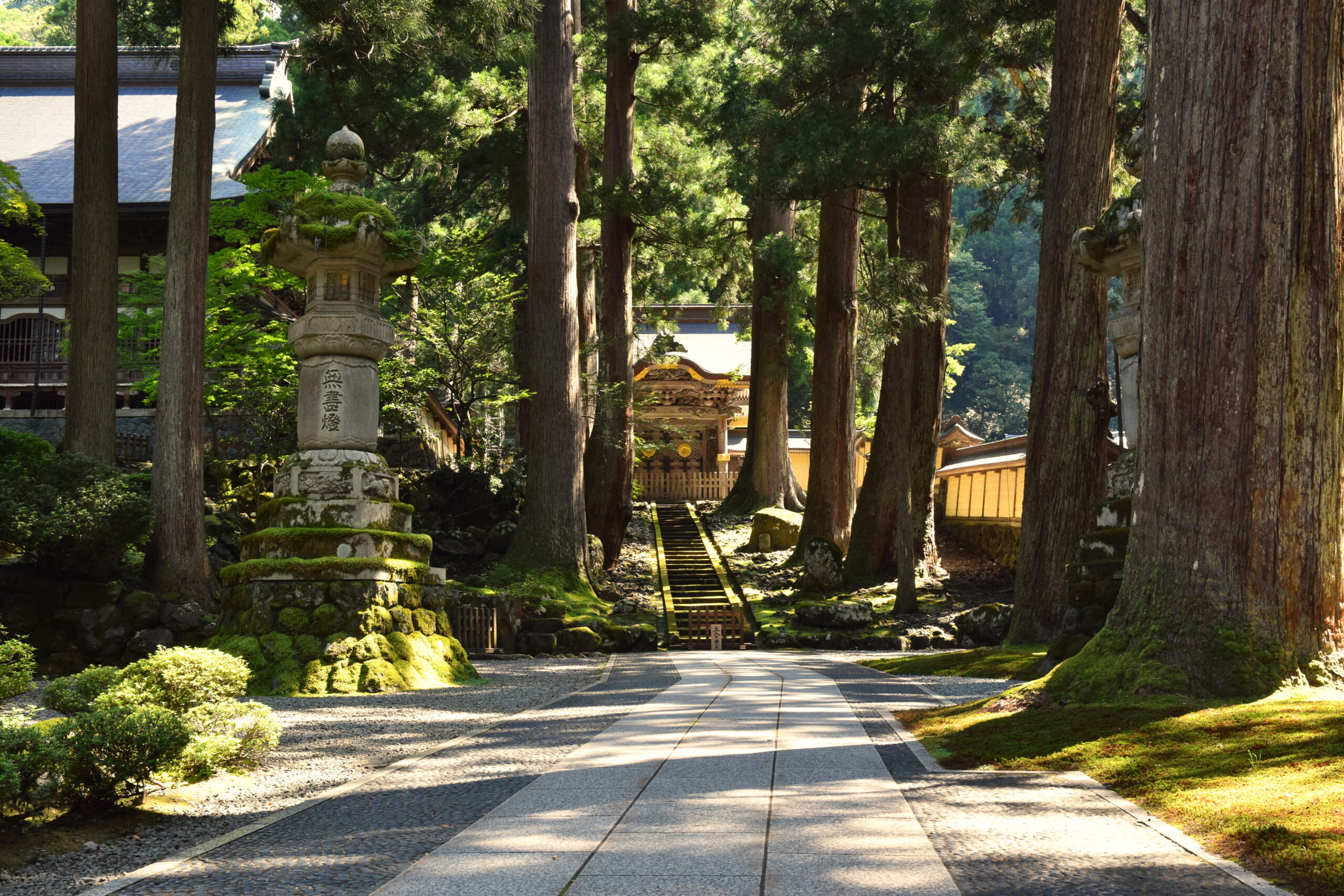 Cedar-lined steps and temple gate at Eiheiji in Fukui