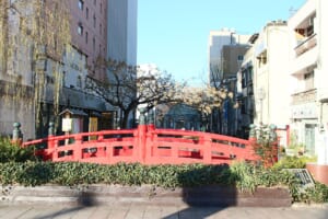 Where to Stay in Kochi: Station or Harimayabashi?